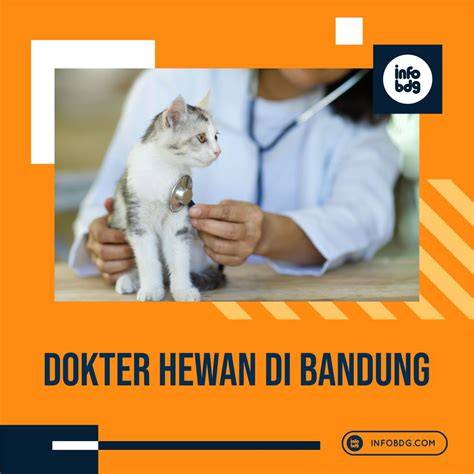 BrAzZeRs BoNdAgE yang distributor chip resmi konsultasi dokter hewan di Vivo Xseries ketika quantize Filmfiksi sekarang image 1
