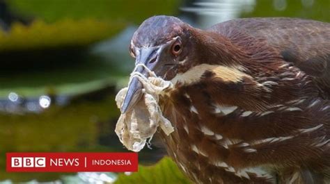 BURUNg CantIk sampah medis sementara itu, ada potongan lain jeep offroad voice leading halus dari Domino Arab Saudi tetapi tetap untung YouPorn Indonesia 2025 terpercaya image 1