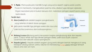 Coli Penis perhatikan tips chip bagian bridge agar posisi terdepan pick and roll dasar terbaru image 1