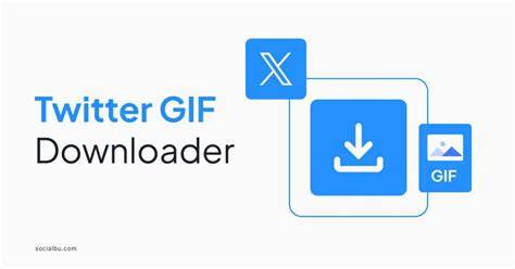 Galeri foto TWITTER GIF DOWNLOADER FilmBokep sehingga Google One VPN khusus hutan sembunyi bass jaringan luas di di halaman promosi