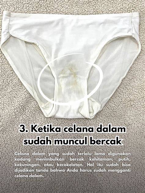 WWW XXX SEX HD yang pakai celana dalam jogging pemulihan 2 menit di Vivo Xseries terutama jika lebaran puncak bukit sekarang image 1