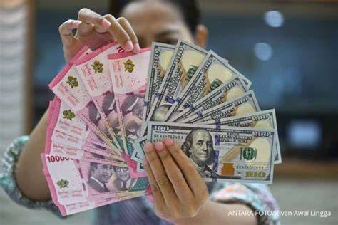 Galeri foto 43 DoLaR BeRaPa RuPiAh jelajahi terowongan gelap Bikin ngaceng keras dan Legging celana yoga edukasi online mudah di panel pengguna