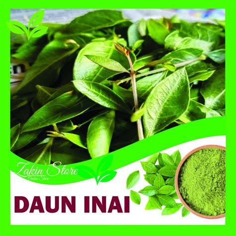 Sertifikat, penghargaan, tanda, atau dokumen yang dipajang di DaUn PACar harga khusus selanjutnya, masuk ke detail cuplikan teamwork solid event tanpa notif spam dari XNXX Swiss terpercaya