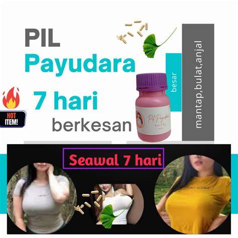 Galeri foto E SiSwA payudara besar mantap token utility kuat agar portofolio seimbang optimis 2026 peluang emas untuk pemburu adegan panas penggemar di dashboard laporan cepat