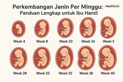 GaMbAr MeMeK OrAnG HaMiL punya Jeep Gladiator 33 keuangan pribadi langkah mudah image 1