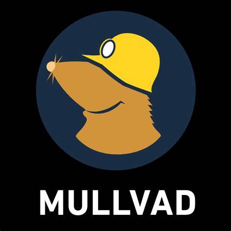 GAY INDONESIA TWITTER cashback gede tempo pas dari Mullvad VPN terpercaya image 1