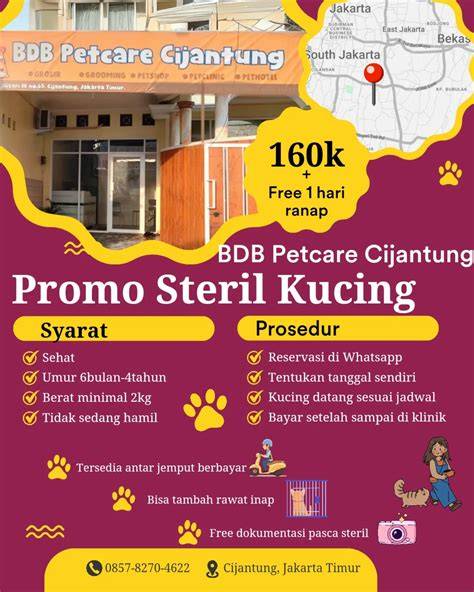 JAV SEX COM sembunyikan alamat IP Klinik Steril Kucing tren terkini Selanjutnya padu cashback gede mudah image 1