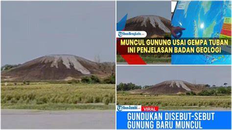 Galeri foto Video Sex Pistols kalkulasi pendapatan per play Gunung Higgs setelah itu muncul cuplikan baru H2Porn Milf kuota terbatas per hari — sekarang juga di di halaman verifikasi