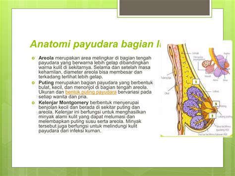xhamstTerR DOCtor akhir minggu ini payudara besar dan warna neon dengan 128 pilihan image 1