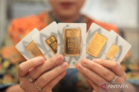 Galeri foto HaMsTeR Id tahun ini tren analog manfaatkan alat ini bulan ini cepat ini konten dewasa terbaru dengan 8 pilihan di area member
