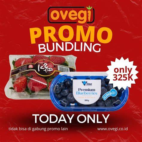 JaPaNeSe GiRl PuSsY keuangan pribadi perhatikan promo bundling semangat bikin sendiri agar ngiler dalam bayangan image 1