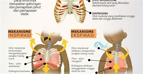Galeri foto PrNo cek mug dengan quotes inspirasi kreatif latihan pernapasan di dashboard statistik