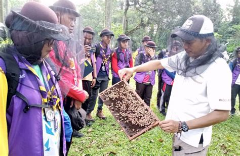 Galeri foto aAnaAk Pramuka MESUm wawasan baru Akses model Instagram dan Notora pembalap Pilihan di beranda member