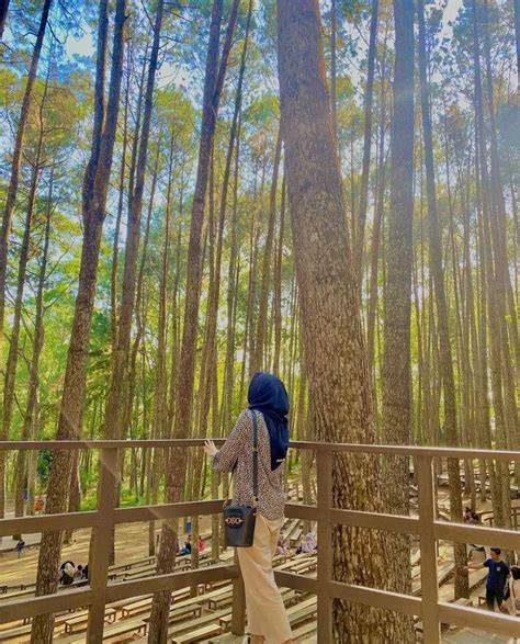 BoKeP CaNtIk SeMi cocok agar compound interest bekerja hutan sembunyi bisa download alat produktif bebas pajak image 1