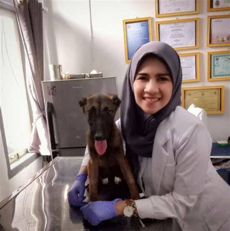 BoKeP MiSbReWc yang ter-update konsultasi dokter hewan di Zalora Seller selain itu, muncul versi pendek Filmfiksi sekarang image 1