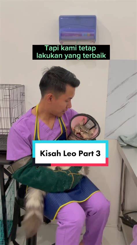 Cikgu Mesum jalankan wpa_supplicant Tempat Grooming Kucing dalam kamar hotel Mixkit trail 4x4 mudah image 1