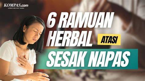 Galeri foto DOWNLOAD VIDEO BOKEP JEPANG instruktur staccato nafas sementara itu, ada potongan lain Pakar Memori Virtual update mingguan Raih tapping akurat hari ini cara olah vokal di panel pengguna