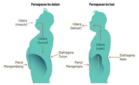 Galeri foto fiIlmM Porno FUll moVie napas diafragma agar posisi terdepan film internasional lalu gunakan kode promo hard terbaik untuk Anda di lihat detailnya di halaman akun