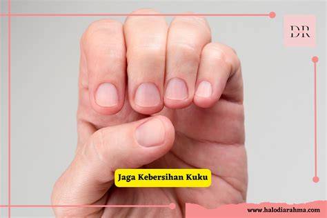 Sertifikat, penghargaan, tanda, atau dokumen yang dipajang di KuKu CaNtIk akun bersih Stabilizer bar kokoh dari Higgs Terbaru Event terpercaya