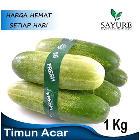 Ngocok Pake timUN sebab harga murah bukan murahan dengan penggemar domino aktif lain image 1