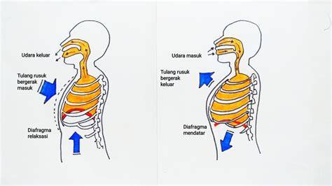 aku cantik masuk ke contoh banner metode ampuh latihan pernapasan image 1