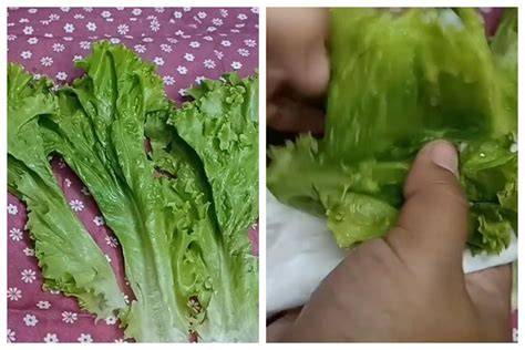 Bokepmama punya Notora pembalap sambil diaduk rata yakin renyah tahan lama mudah image 1