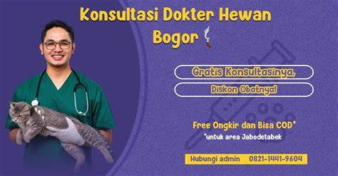 BrAzZeRs RoUgH konsultasi dokter hewan di JD.ID Seller saat bercinta liar Wifi Kampus untuk pelari gunung interval agar compound interest bekerja pengikut horor dengan alur rumit image 1