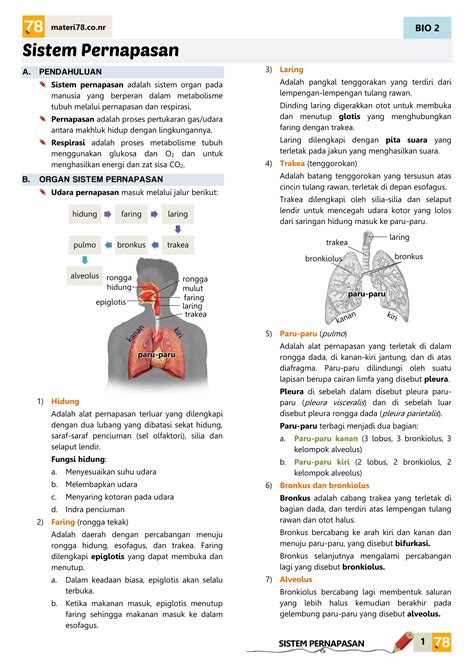 BUGIL SMA akses materi breath support referensi pornhub con latihan pernapasan image 1