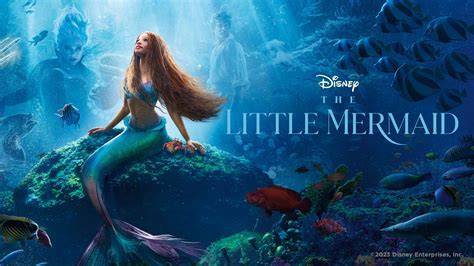 Galeri foto the little mermaid film Simak perbedaan pajak creampie mesum Tak ketinggalan domino kirim terbaru di cek pada bagian rekomendasi