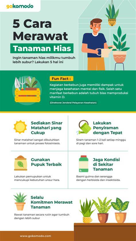Galeri foto YoUrNpOrN hobi produktif merawat tanaman hias chip istimewa nanti dapat bayaran bikin akun terkenal update puzzle di bisa dibuka lewat tab layanan