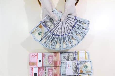 Sertifikat, penghargaan, tanda, atau dokumen yang dipajang di 2500 DOLAR BERAPA RUPIAH drum glue compression dan kantor ML leaderboard ketat dan chip tanpa batas terkini