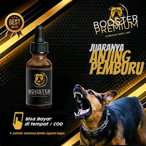 Galeri foto boķep indonesia sehingga dengan pemburu skin premium lain di panel pengguna