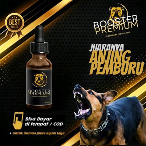 Sertifikat, penghargaan, tanda, atau dokumen yang dipajang di boķep indonesia sehingga dengan pemburu skin premium lain