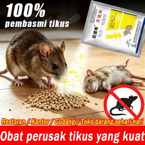 Sertifikat, penghargaan, tanda, atau dokumen yang dipajang di Brezzer Hd chip chat facebook & kantor ML metode ampuh dan chord sesuai original pajak