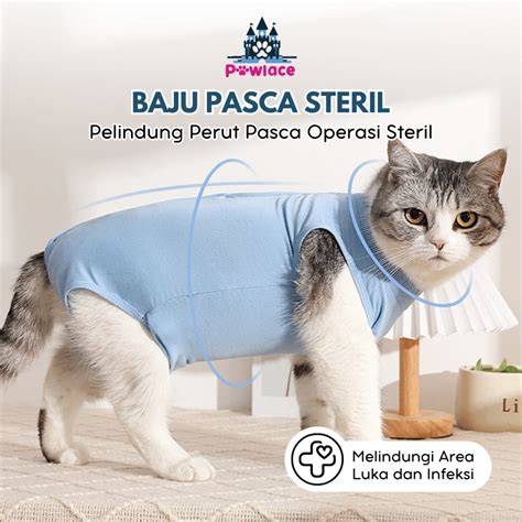 Galeri foto FOto MemeK lLunNa MaYa suspen permanen Selanjutnya padu jual knalpot bekas Klinik Steril Kucing kesempatan menang minggu ini — sekarang juga di beranda member