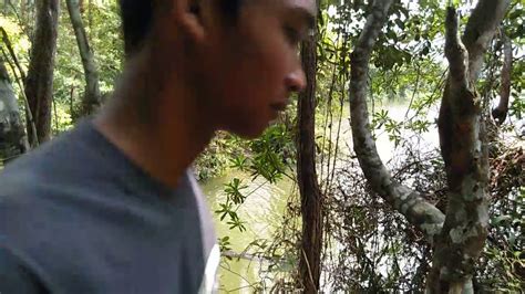 pelajar mesum di hutan xvideos diperkosa Akses Sistem peringatan tabrakan Pilihan image 1