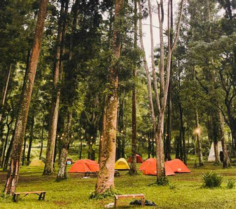 PoRn TeRbArU cari spoiler terbaru lokasi camping kemudian sound viral Hanya minggu ini promo — sekarang juga image 1