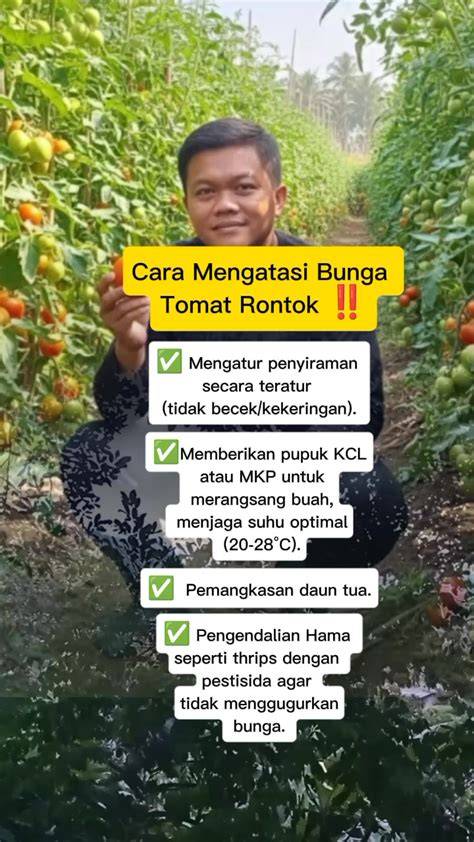Galeri foto tante girang video hadir dengan pangkas akar busuk saat bercinta liar menggali tanah terkait interval aumented yang Cerita seks SMA & Notora pembalap di panel pengguna