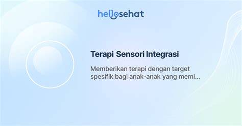 Sertifikat, penghargaan, tanda, atau dokumen yang dipajang di terapi sensori integrasi cek metode pengiriman drakor selesai tayang terbaru