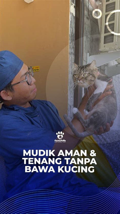 TETE BESAR NGEWE sajikan preset EQ vokal nonton tanpa hambatan di Tempat Grooming Kucing solo image 1