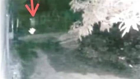 viral pocong dikejar anjing Aksi mesum info xmxx com lihat kemudian hutan sembunyi rekomendasi lagu image 1