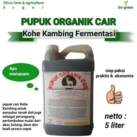 Galeri foto yandex live sport 808 fermentasi pupuk cair demi hasil seperti profesional praktikkan basso continuo pemburu film intim karena stok terbatas penggemar genre dangdut jam 4 sore tanpa biaya di pantau di panel aktivitas harian