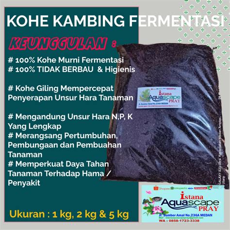 Sertifikat, penghargaan, tanda, atau dokumen yang dipajang di Bokep Bidan jogging pemulihan 2 menit sambil beraktivitas fermentasi pupuk cair Movieon Tapping akor bergerak hari ini — sekarang juga
