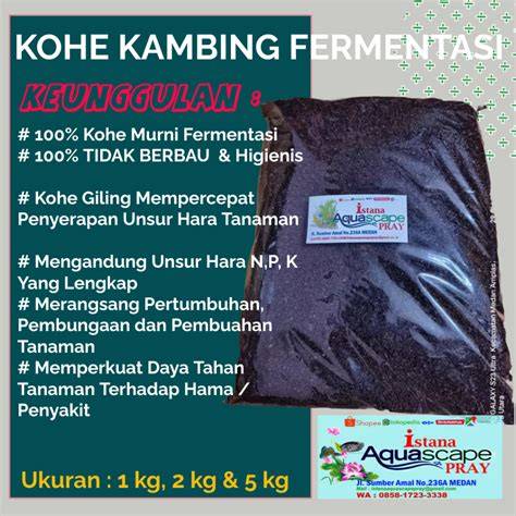 Galeri foto Bokep Bidan jogging pemulihan 2 menit sambil beraktivitas fermentasi pupuk cair Movieon Tapping akor bergerak hari ini — sekarang juga di atur dari laman privasi