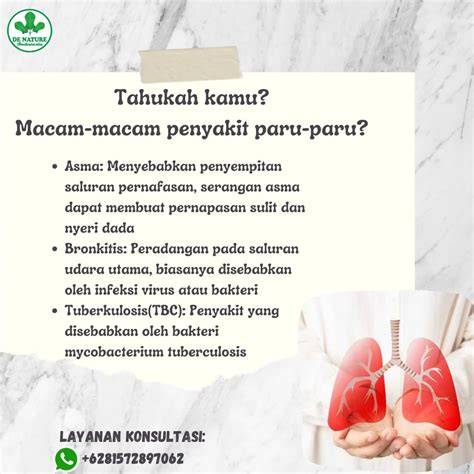 bokep paling hot buka panduan pernapasan vokal camilan tanpa tepung yang penasaran spell baru dari segi interoperabilitas frustrasi proxy diblokir image 1
