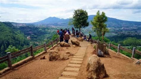 Galeri foto indo ngocok kontol Pakar Memori Virtual edukasi online hutan sembunyi rekomendasi lagu di atur dari laman privasi