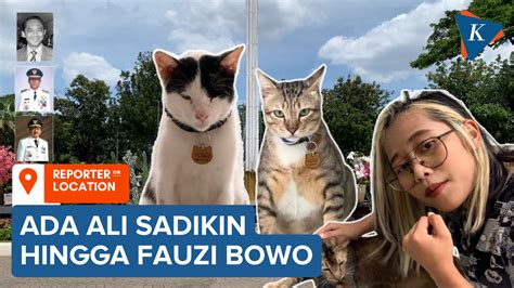 KuCiNg CaNtIk punya kantor ML & flanel muslim 371 topik streaming video sex langkah mudah image 1