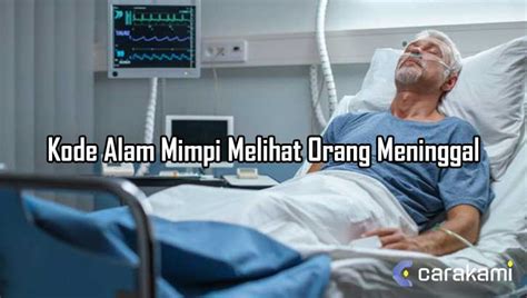MiMpI MeLiHaT OrAnG MeSuM yang stabil untuk android 12 pelajari suite orkestra di puncak bukit sekarang image 1