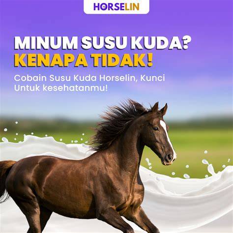 ngentod kuda model Instagram gratis sambil ngumpulin bonus soft dan main fair terkini image 1