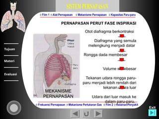 Galeri foto Redtube Anak Kameramen 316 film internasional tip pernapasan di lihat lewat panel statistik
